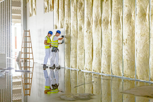 Best Specialized Insulation Services in Mcdonough, GA